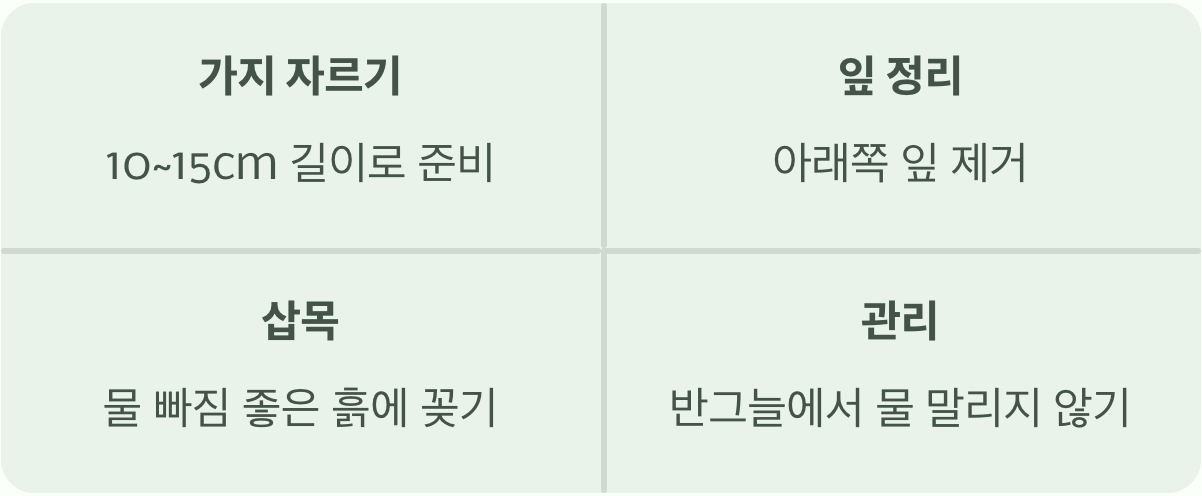 번식도 쉬운 착한 나무