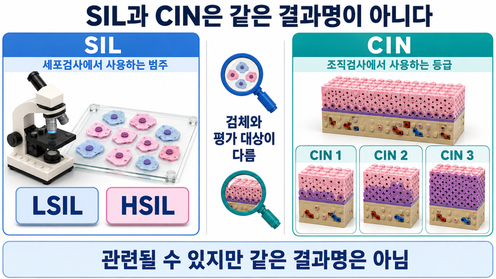 세포검사 범주인 SIL과 조직검사 등급인 CIN 1&middot;CIN 2&middot;CIN 3의 차이를 비교한 의료 이미지