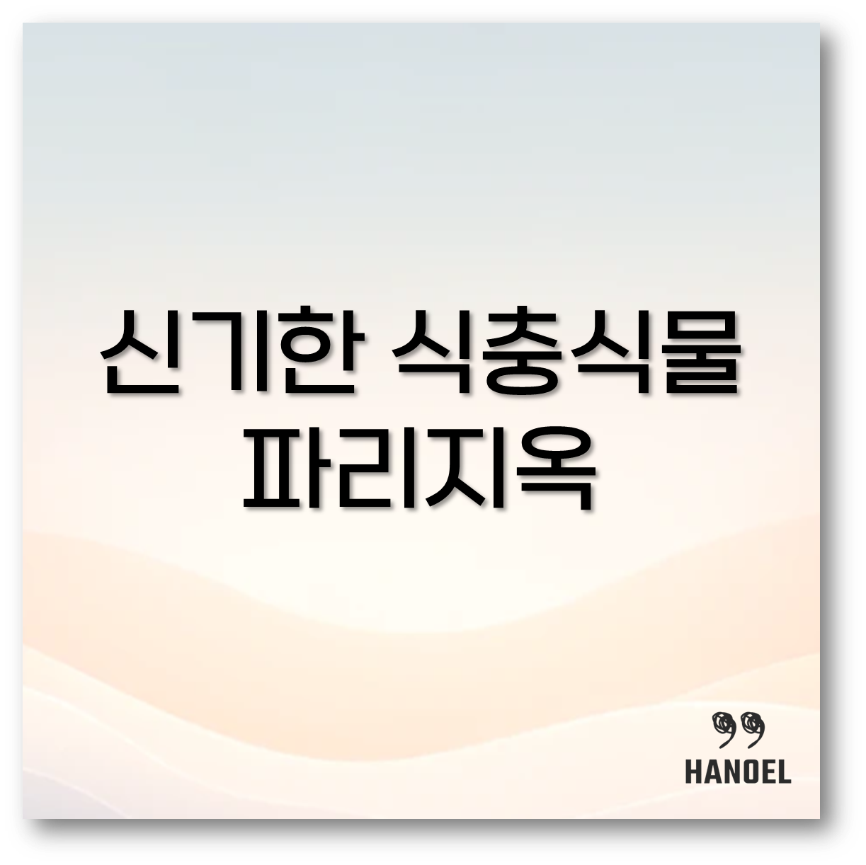 파리지옥