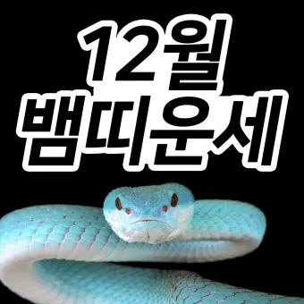 2025 뱀띠 나이 53년 65년 77년 89년 01년생 정리_17