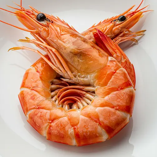대하-1kg-몇-마리-2
