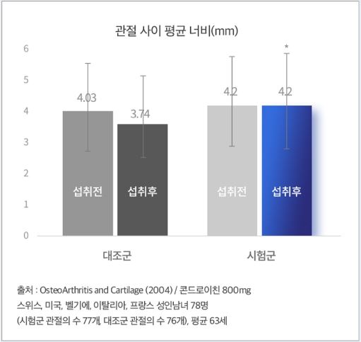 콘드로이친-효능