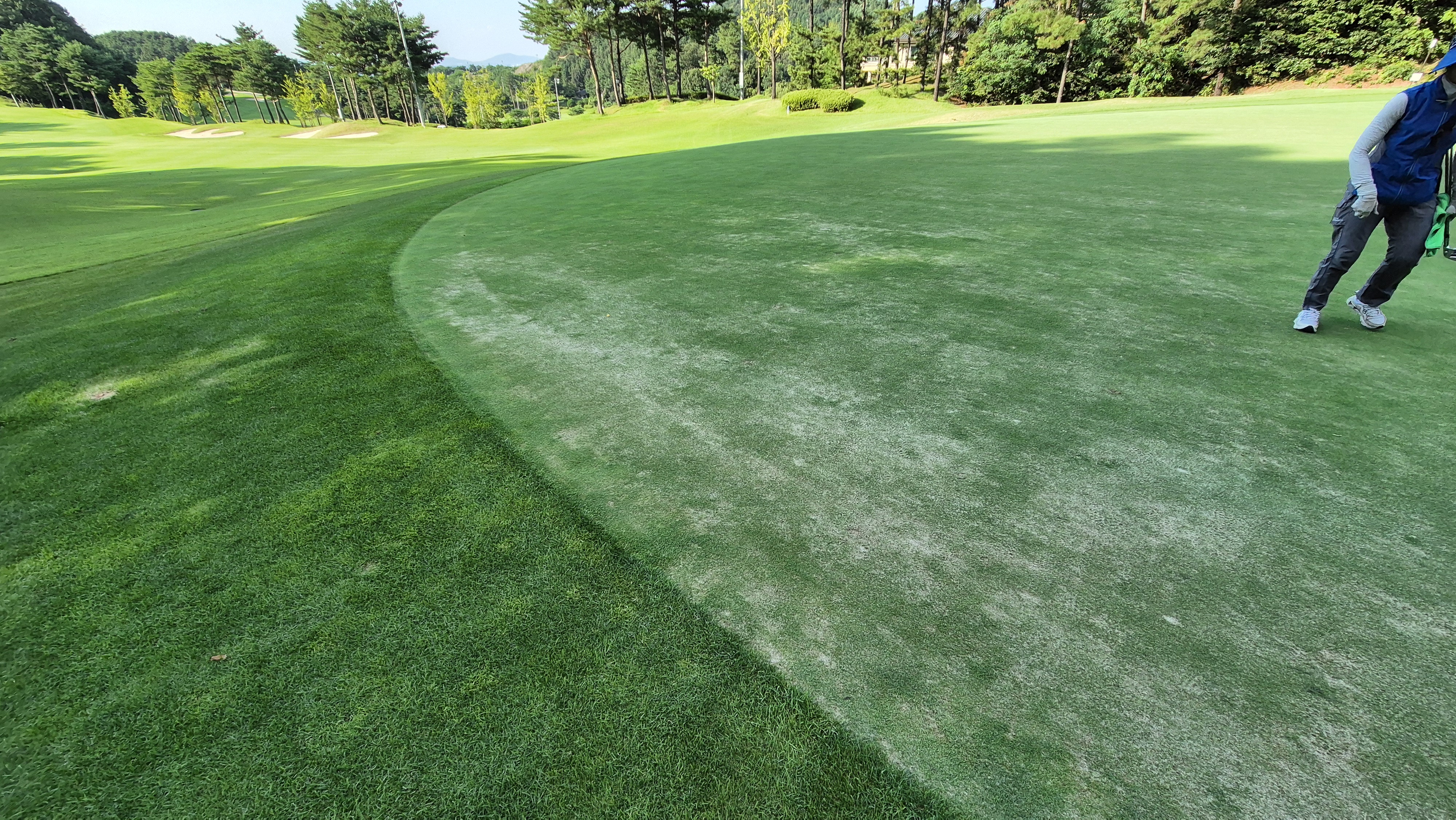 골프존카운티 화랑 라운드 후기