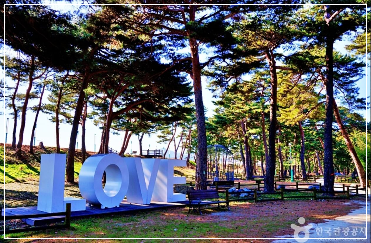 울진 가볼만한곳 베스트10 왕피천 생태탐방로