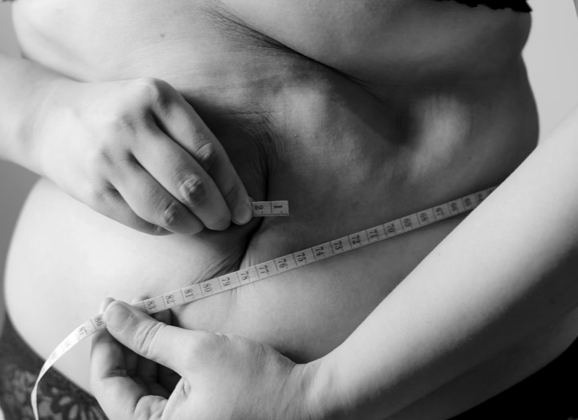 단백질 보충제 : 체중감량