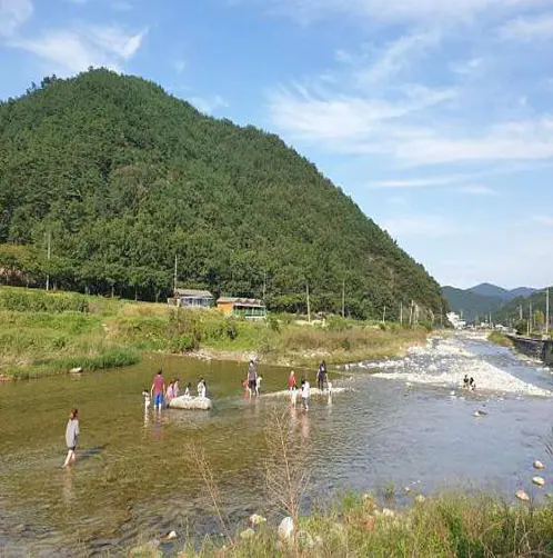 성주자연오토캠핑장