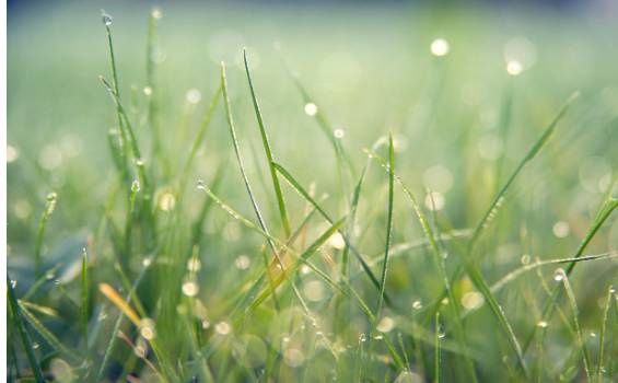 2025 장마 기간, 지역별 예상 일정