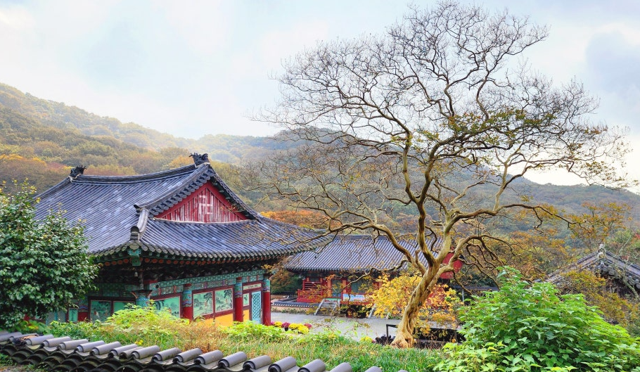 함평 용천사 겨울1