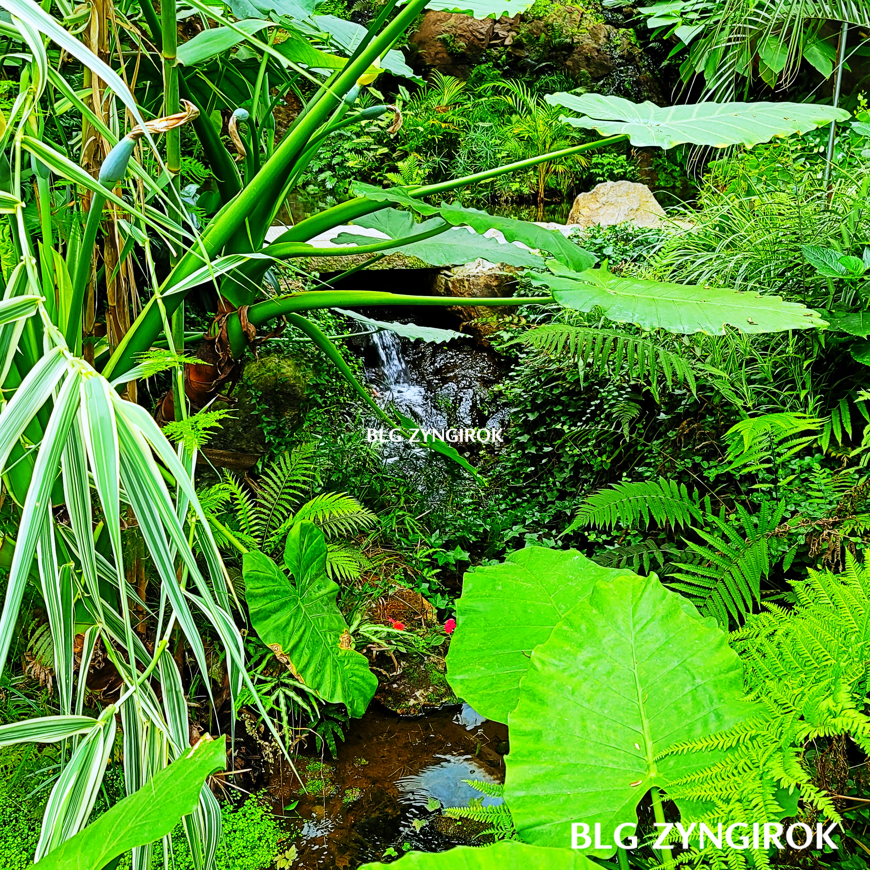 양주-오랑주리-카페-내부-숲이다.