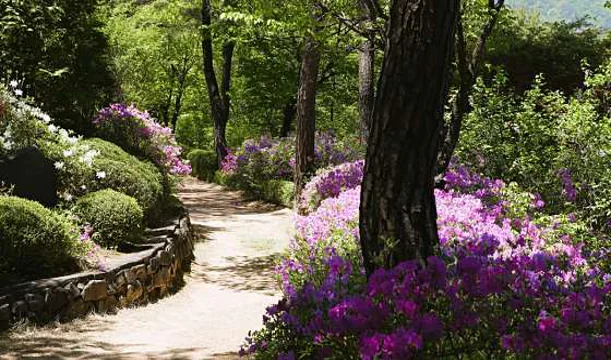 척야산문화수목원
