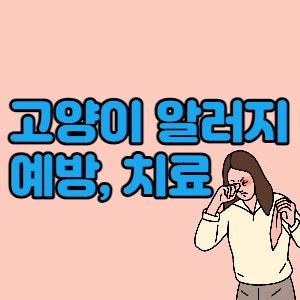 고양이-알레르기-알러지-증상-예방-치료-대표섬네일