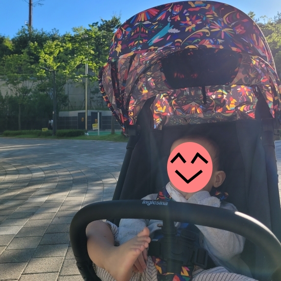 잉글레시나 퀴드2 마야에디션 블랙 야외에서 촬영한 사진으로 전혀 튀지 않는다