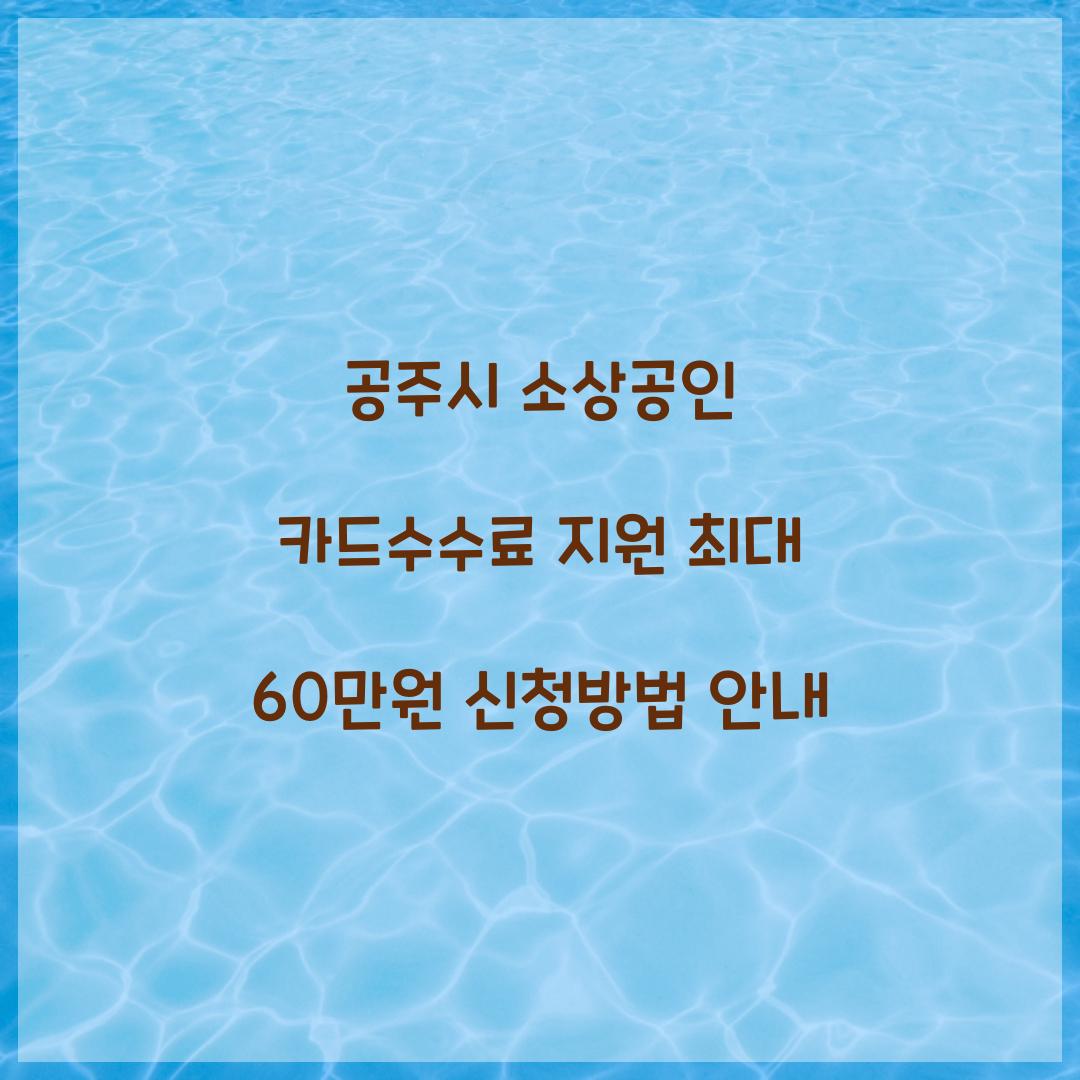 공주시 소상공인 카드수수료 지원