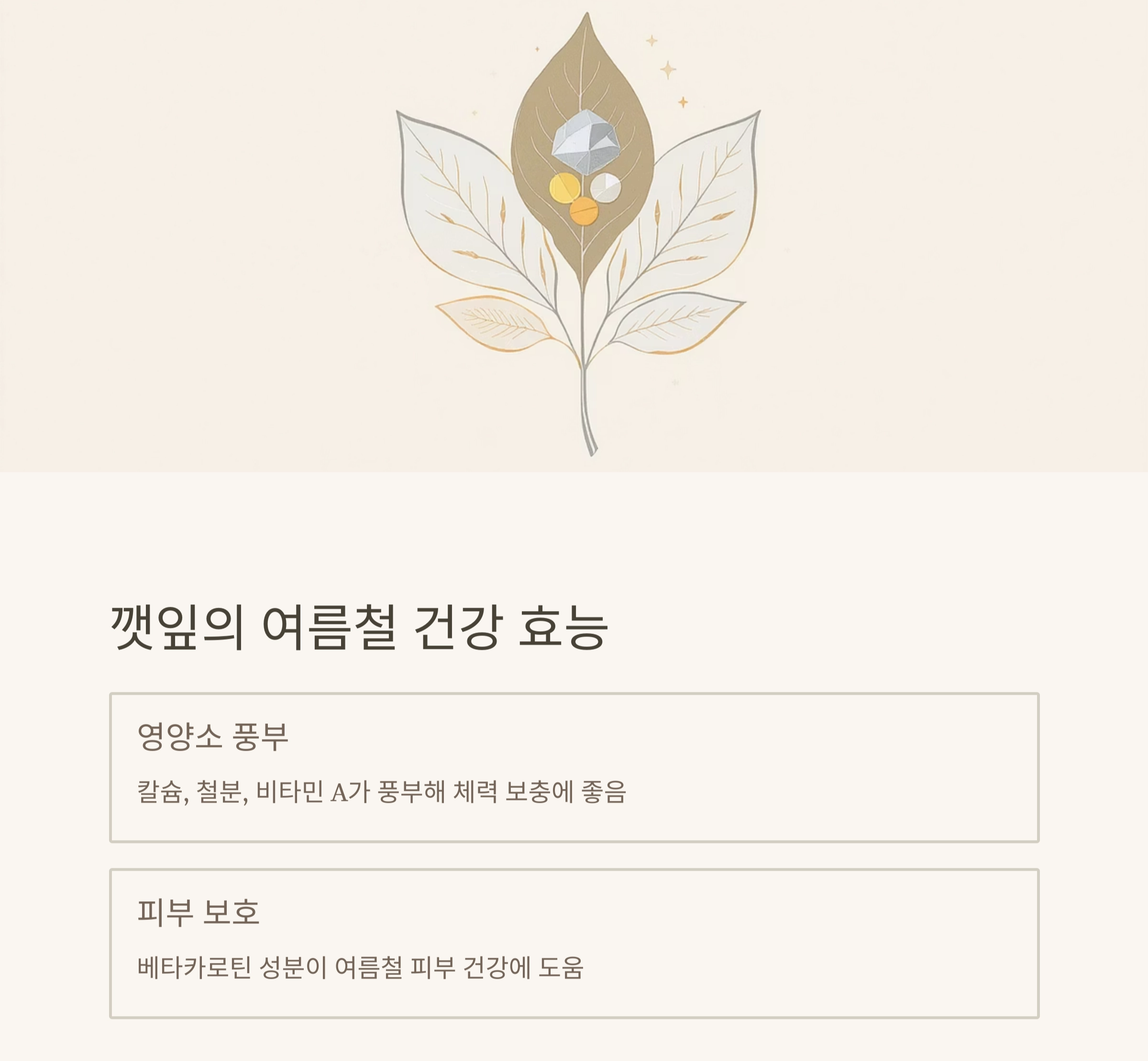 여름철 입맛 살리는 깻잎 활용 저염김치 레시피 공개