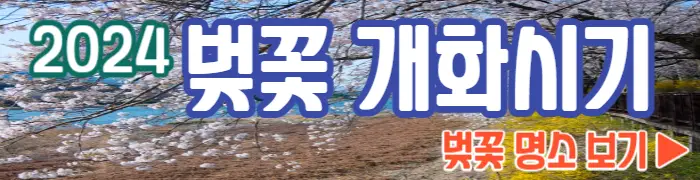 벚꽃 개화시기 벚꽃 명소