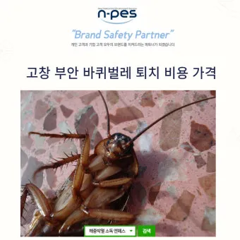 우리나라에 서식하는 바퀴벌레 종류별 특징과 서식 환경_5