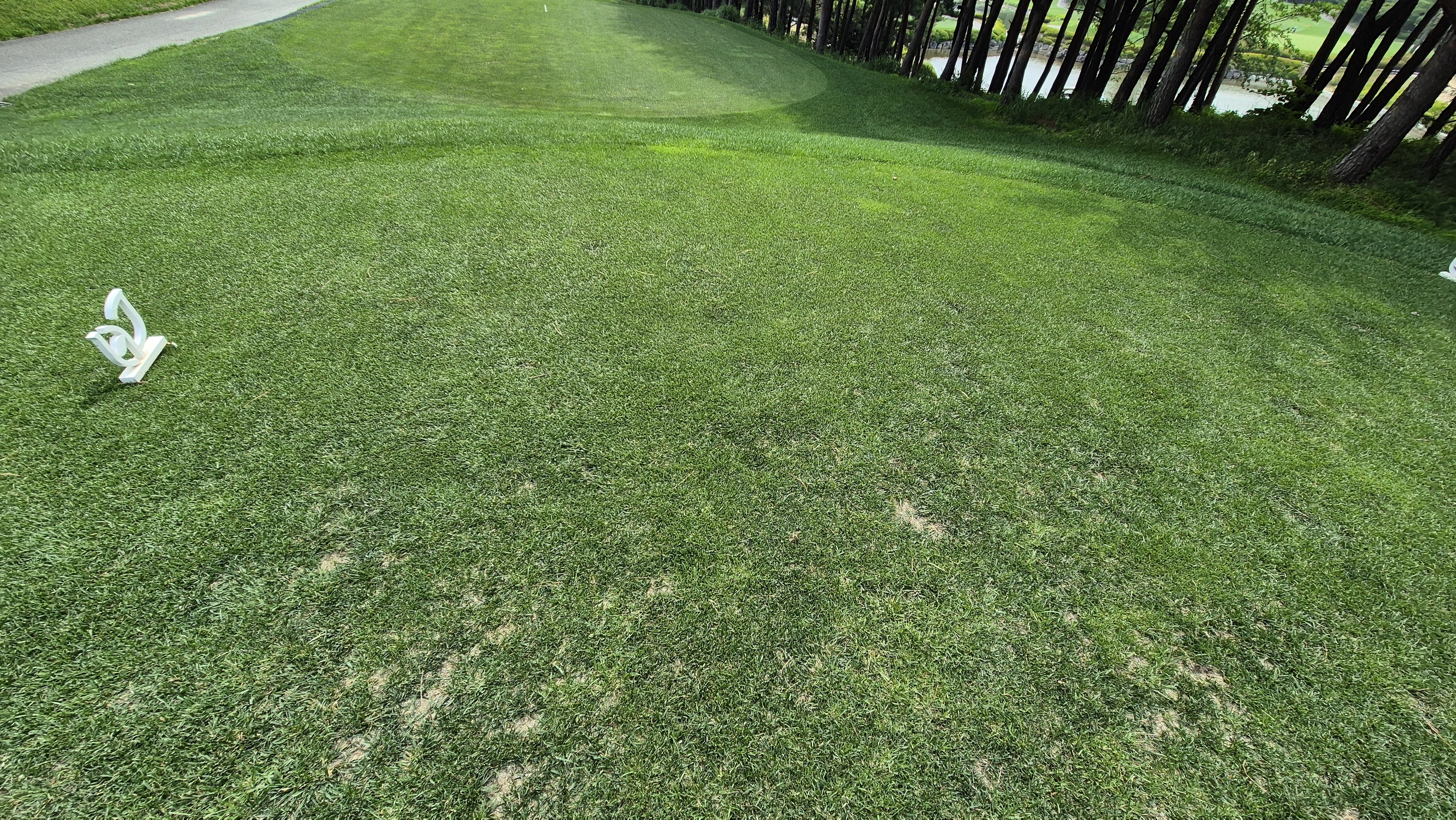 파인리즈cc 라운드 후기