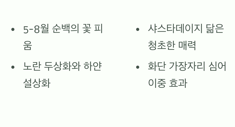 벌레만 쫓을까? 아름다움은 덤!