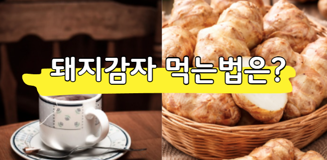 돼지감자 먹는법 및 일반감자와 차이점은?(유래,주의사항)