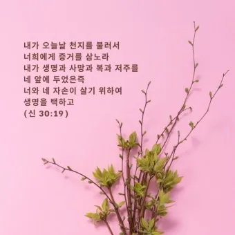 신명기 28장 축복 저주 강해_18