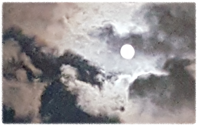 템플스테이 후기