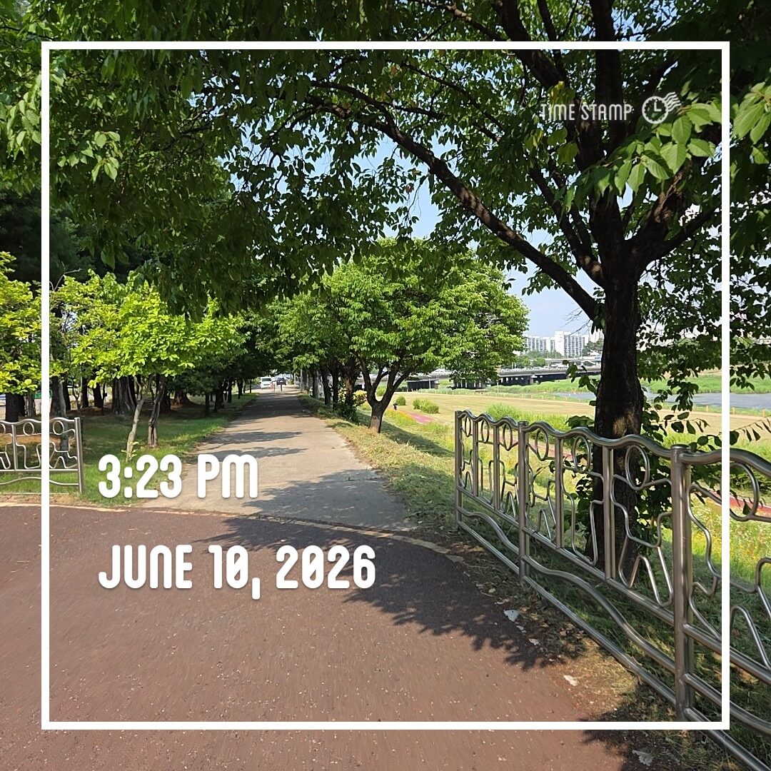 2026-06-10 천변걷기 사진