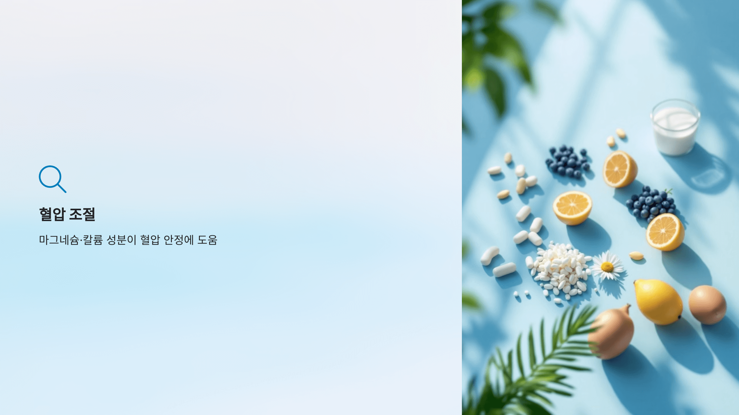파로 곡물 사진입니다.