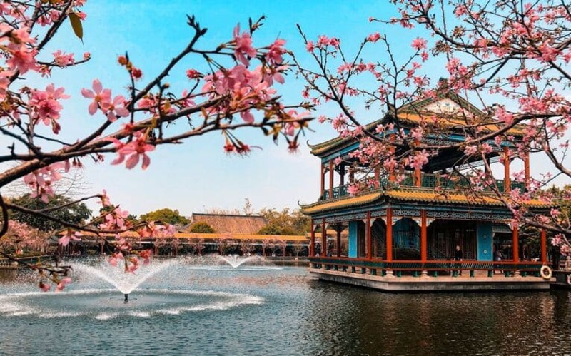 분홍 벚꽃과 전통 누각이 조화를 이루는 광저우의 정원 풍경
도심 속에서 여유롭게 산책할 수 있는 전통 정원의 봄날 모습