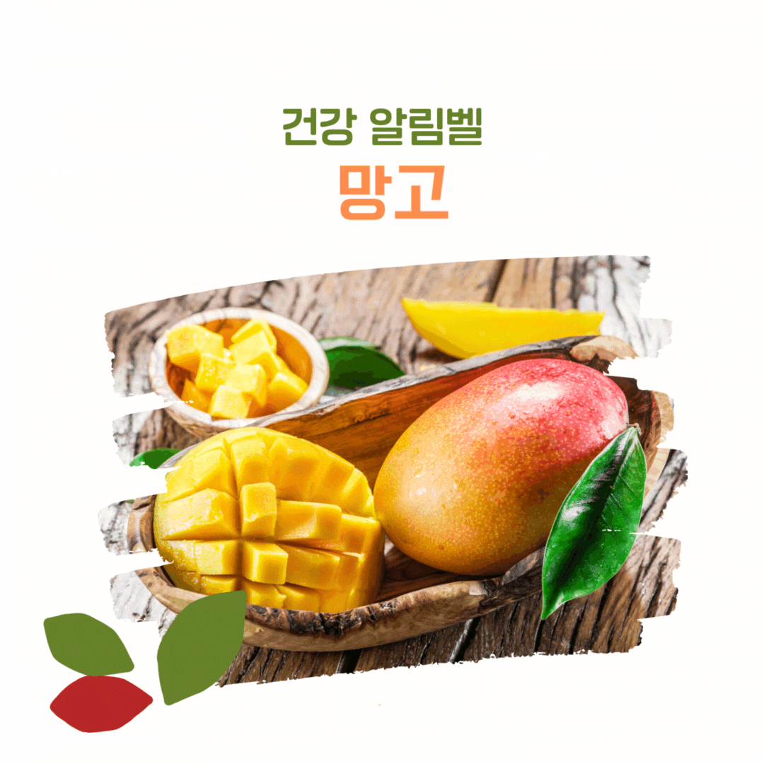 건강 알림벨 망고