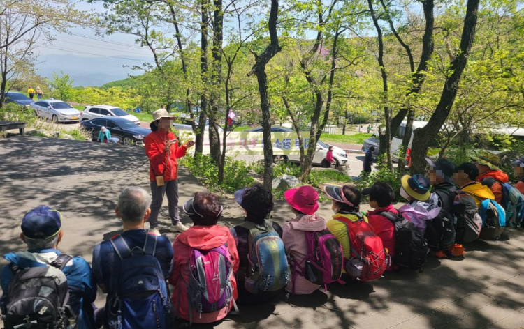 황매산 억새축제