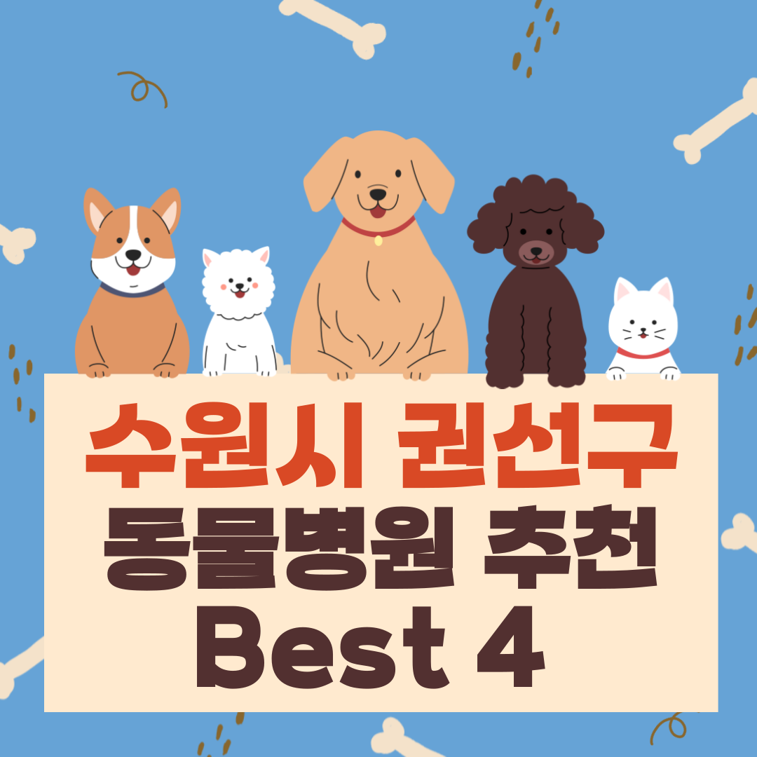 수원시 권선구 동물병원 추천