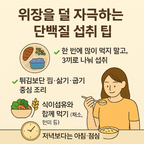 위장을 덜 자극하는 단백질 섭취 팁