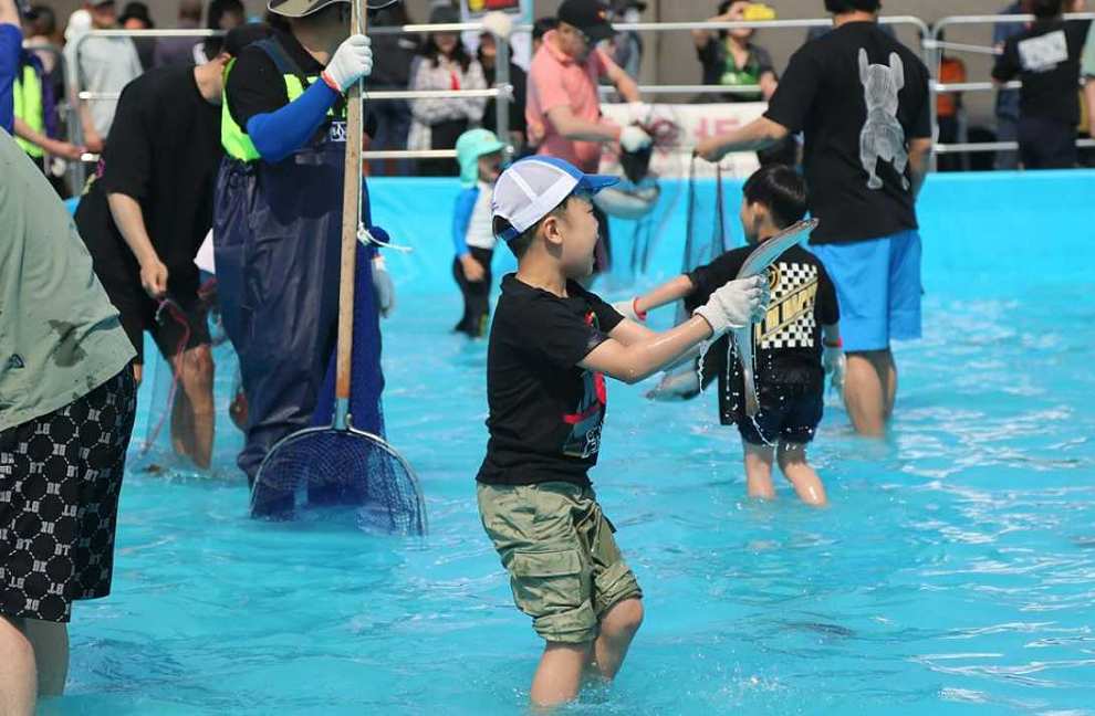 서천 자연산 광어 도미 축제 기본정보