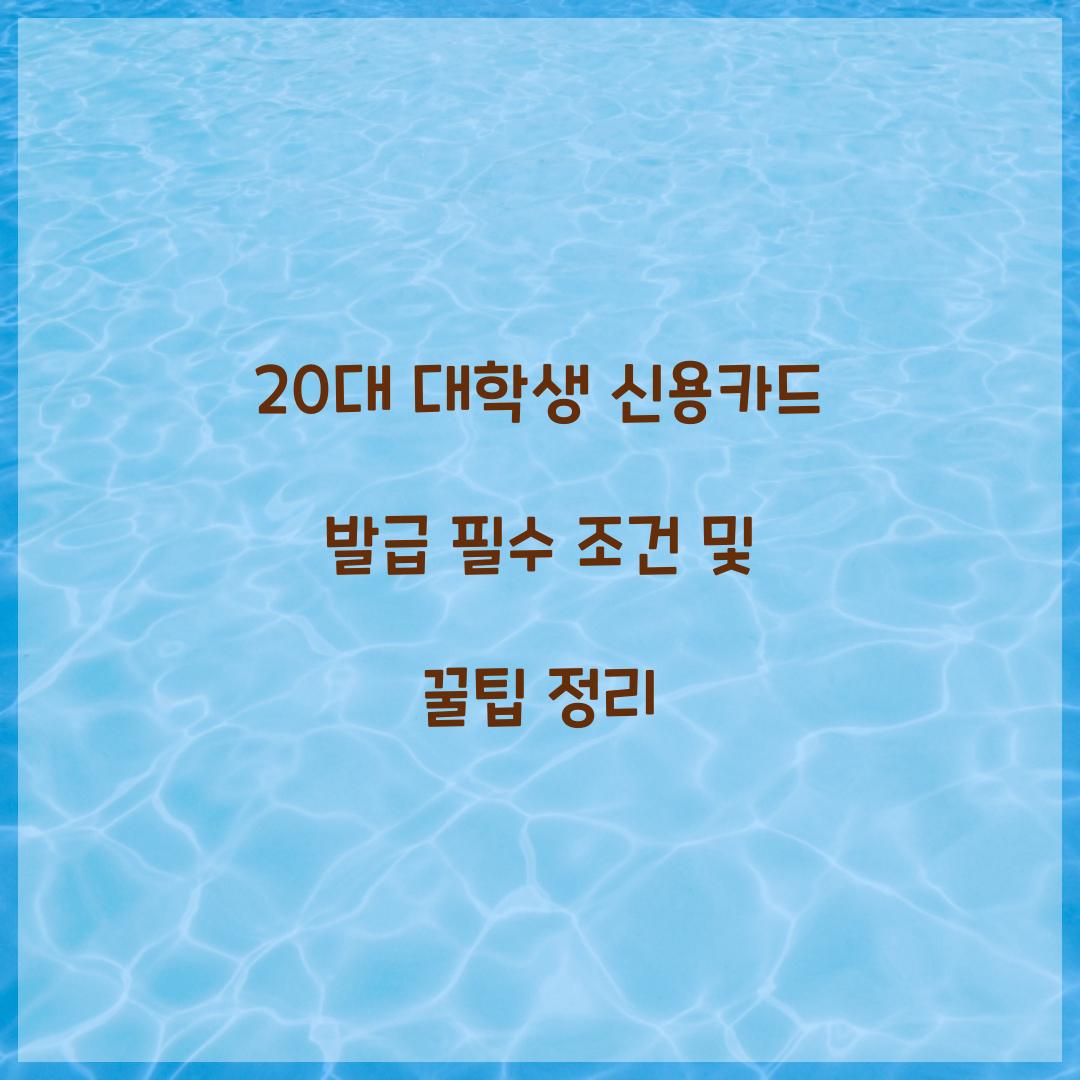 20대 대학생 신용카드 발급
