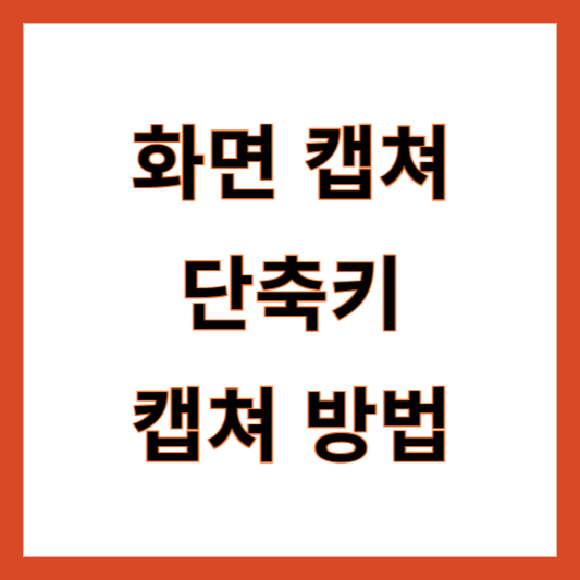 화면 캡쳐 단축키