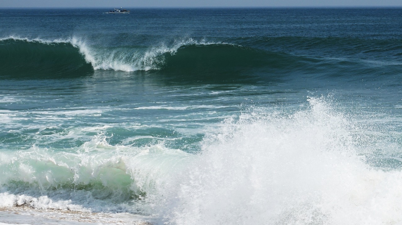강릉 안목해변 관련 사진