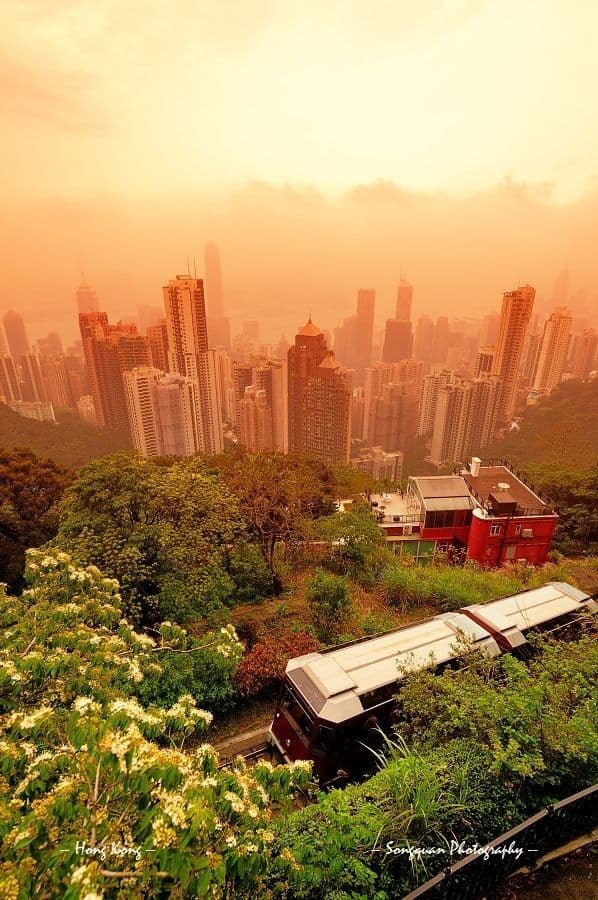 도시에도 ‘폭염 시즌’이 생겼다? 도시형 열파의 실체