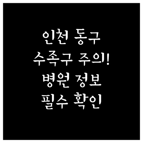 인천 동구 아이 수족구 집중 관리와 ..