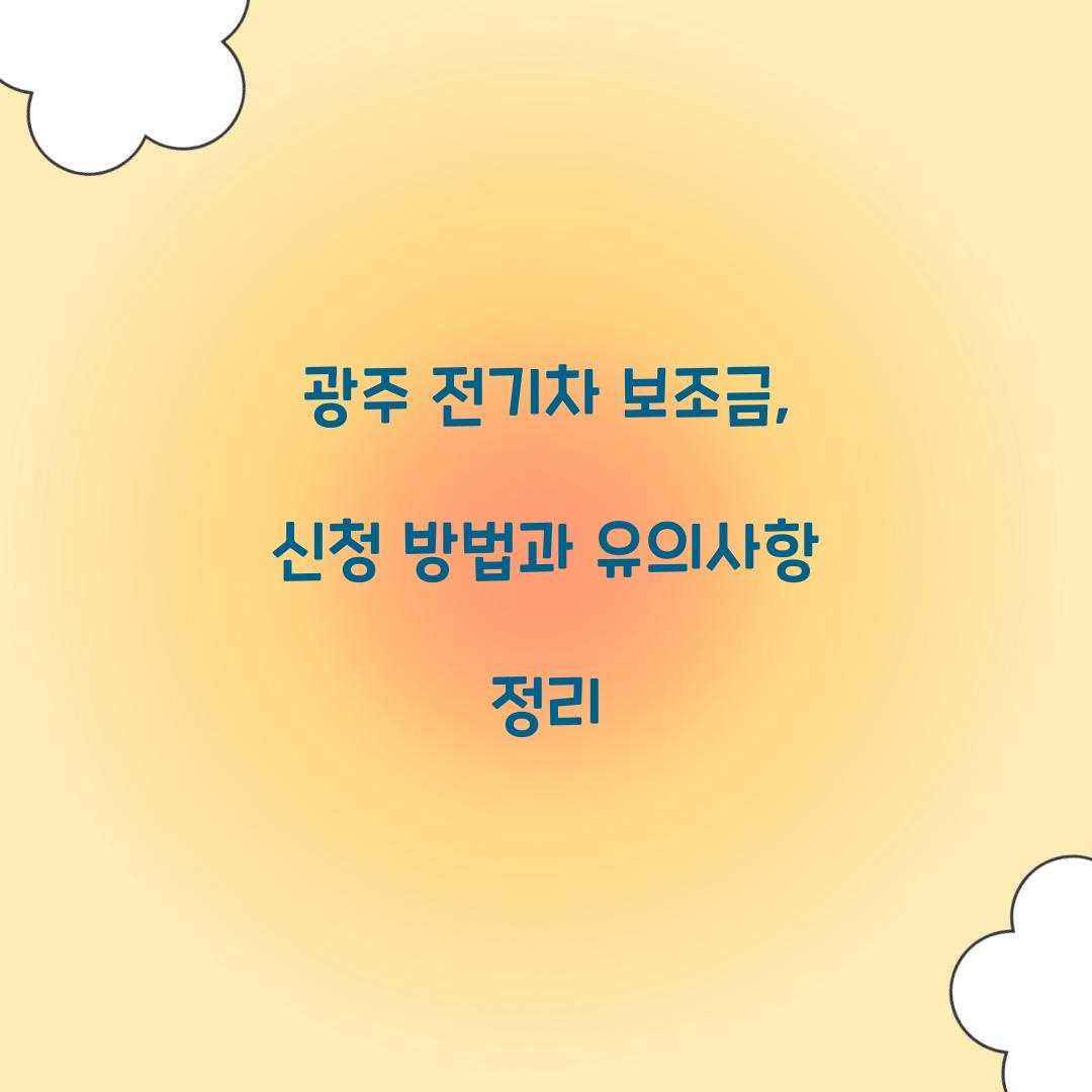 광주 전기차 보조금