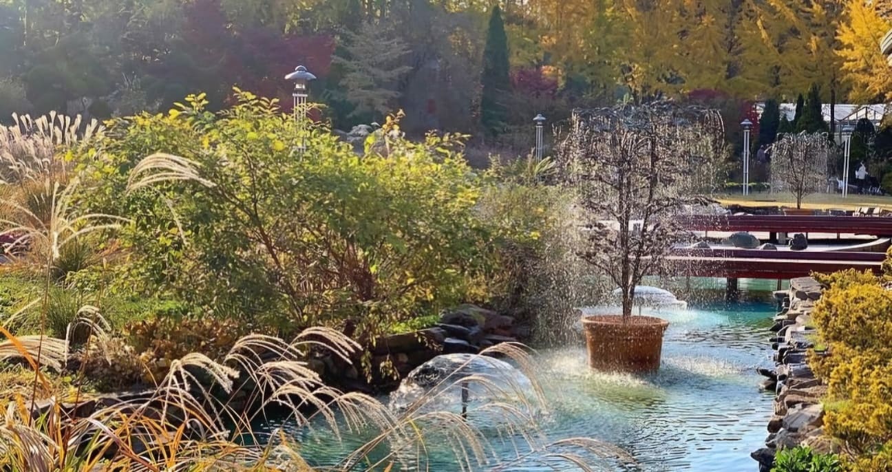 광양매화축제 주차장&amp;#44; 맛집&amp;#44; 입장료