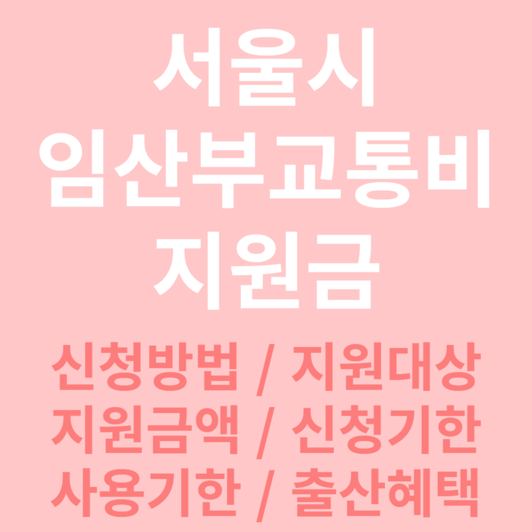 서울시 임산부 교통비 지원금 신청방법