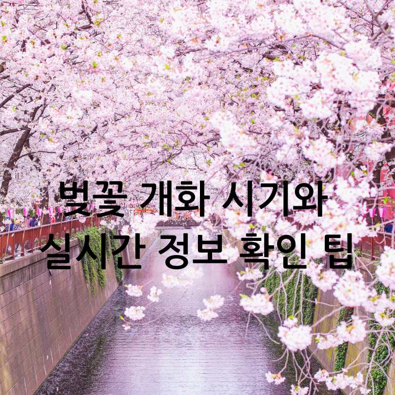 우리나라 3대 벚꽃길 총정리