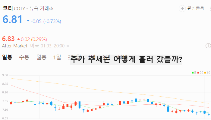 미국 화장품 관련주 대장주 테마주 TOP5