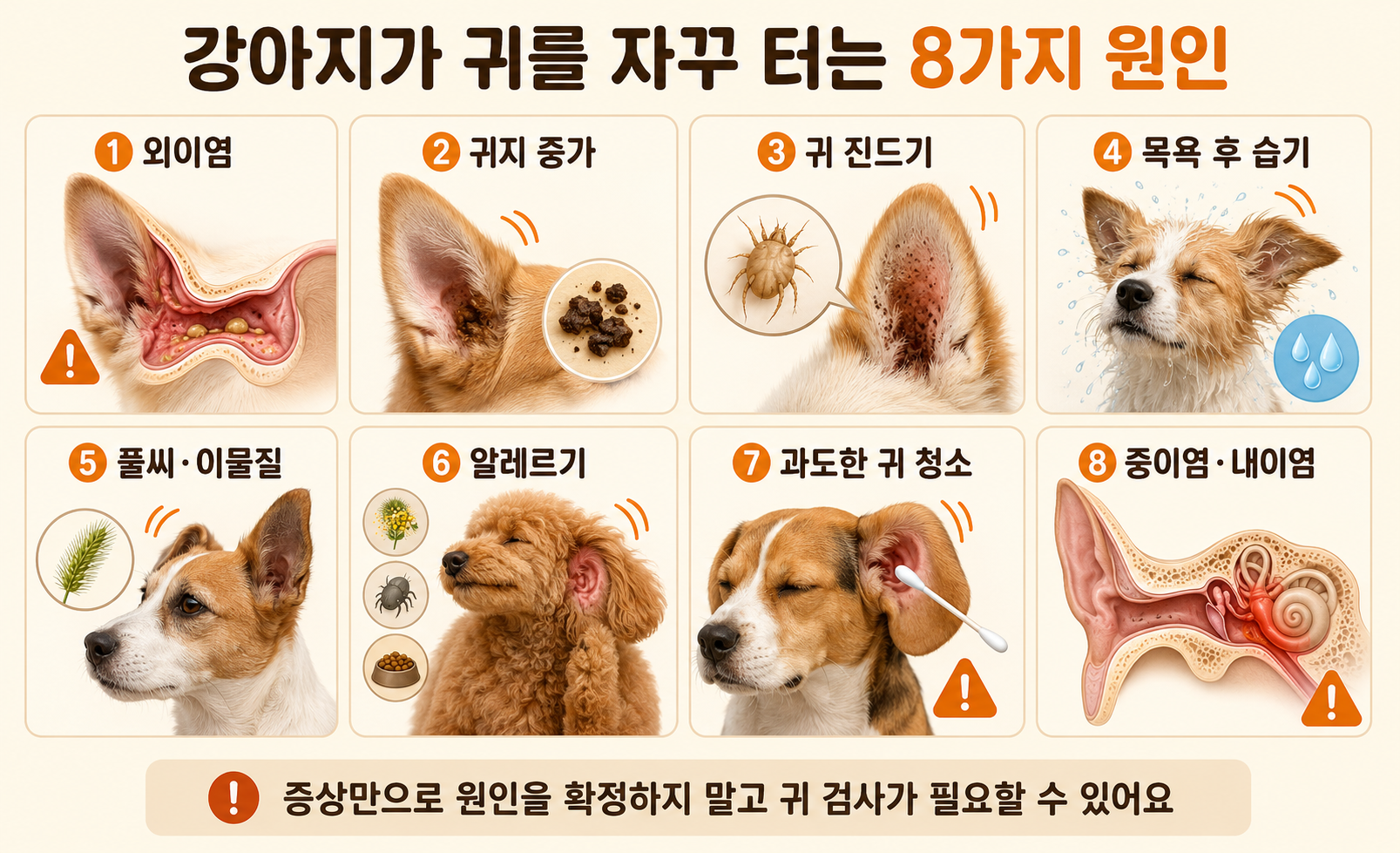 강아지가 귀를 자꾸 터는 외이염 귀지 귀 진드기 습기 이물질 알레르기 등 8가지 원인