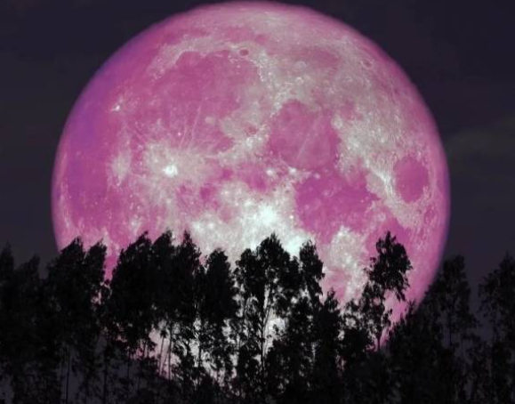 2025년 6월 특별한 스트로베리문