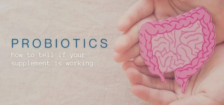 낙산균 효능 부작용 