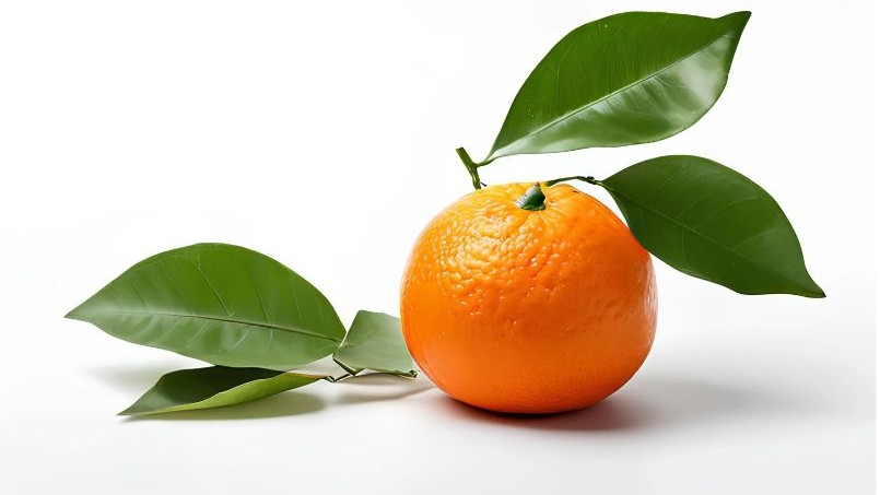 비타민d 부족증상