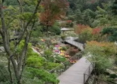 화담숲 사진 명소 시간대별 촬영 완벽 가이드