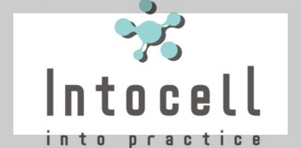 인투셀 기업 로고