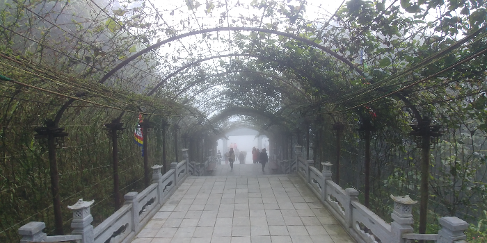 썬월드케이블카 바나힐썬월드 베트남여행 다낭여행 해외여행 베트남 다낭 프랑스 재현 불교 불교문화 넝쿨이우거진터널